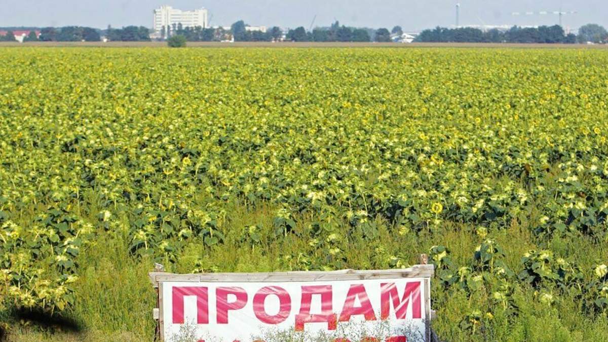 Ринок землі: куди підуть гроші Ринок землі: куди підуть гроші