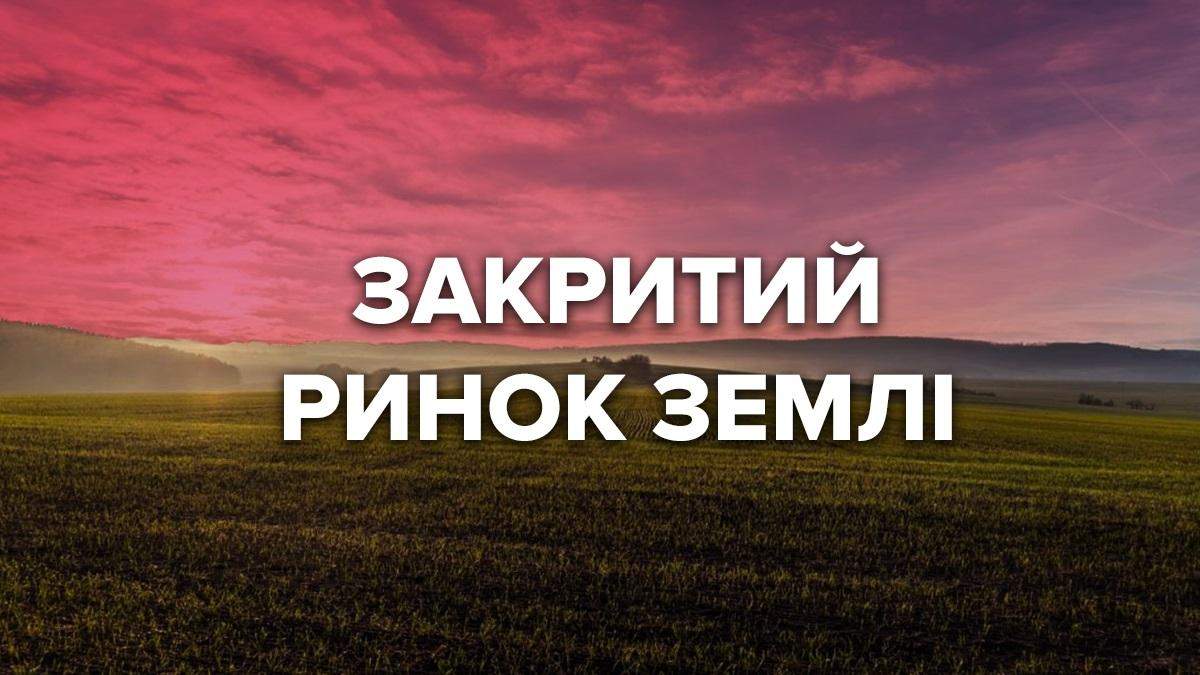 В каких странах нет открытого рынка земли В каких странах нет открытого рынка земли