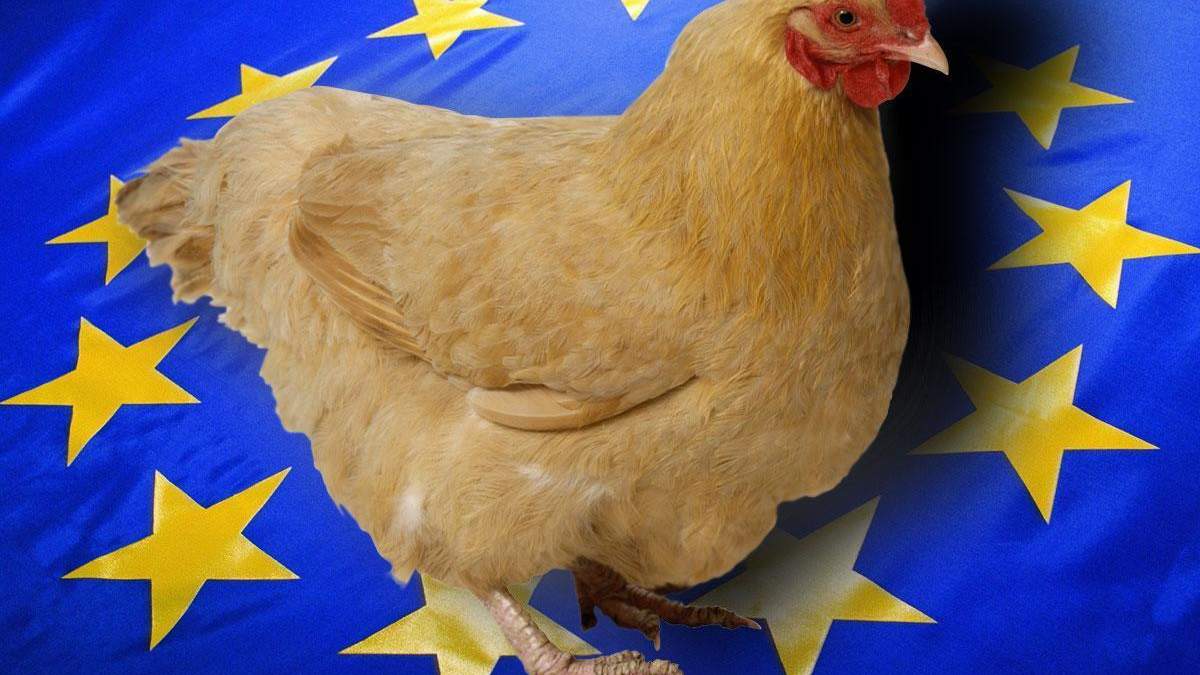 Євросоюз скасував заборону на імпорт курятини з України: що про це відомо Євросоюз скасував заборону на імпорт курятини з України: що про це відомо