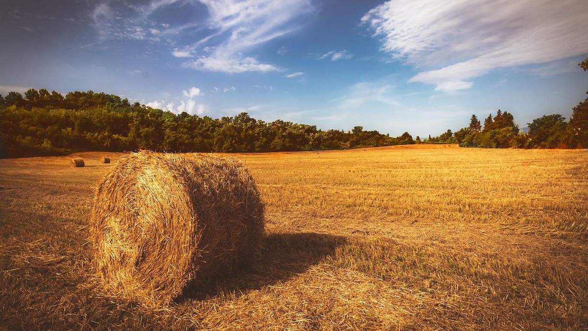 Украина наихудшим образом распоряжается своими возможностями... Украина наихудшим образом распоряжается своими возможностями...