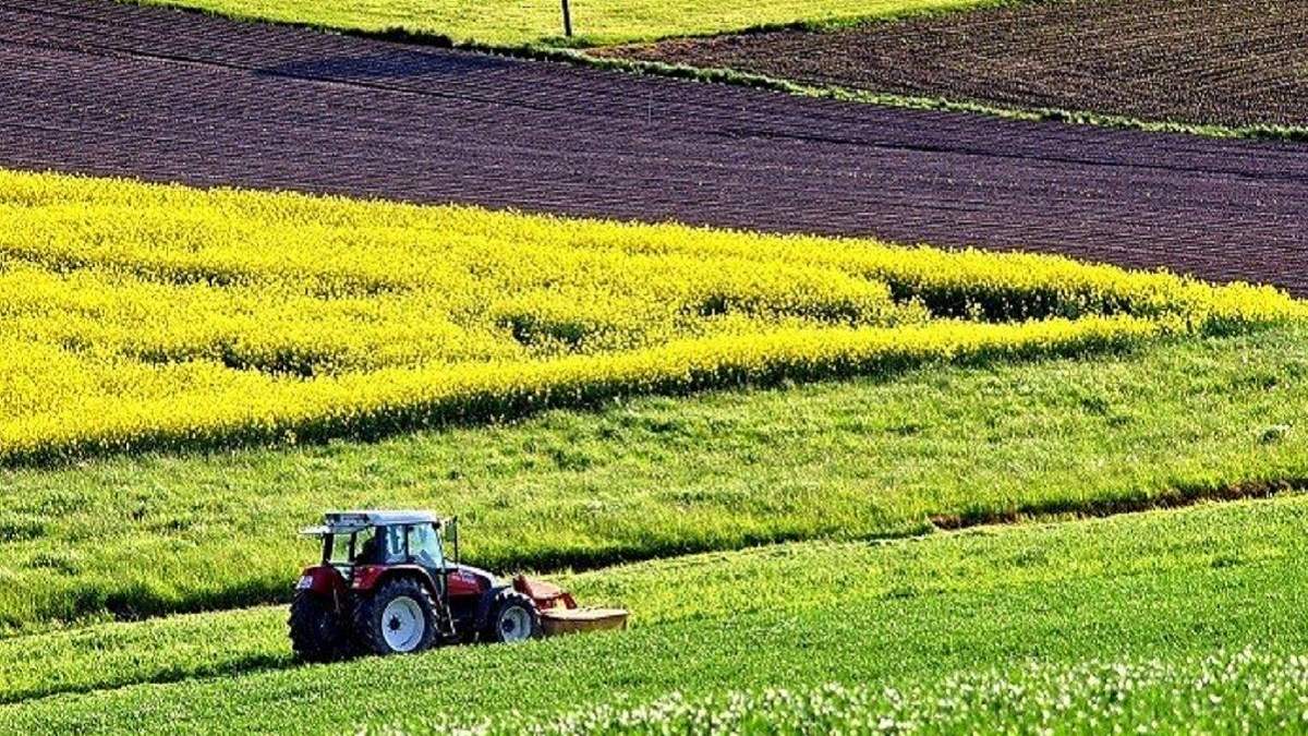 Детенизация АПК принесет госбюджету дополнительные поступления Детенизация АПК принесет госбюджету дополнительные поступления