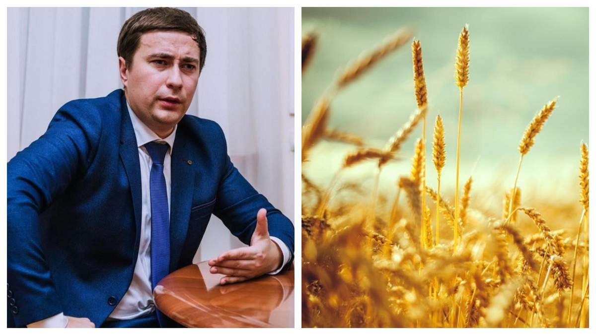 У государства украли 5 миллионов гектаров сельскохозяйственной земли У государства украли 5 миллионов гектаров сельскохозяйственной земли