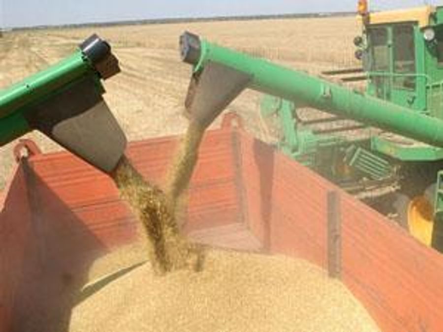 Уряд нічого не зміг пообіцяти аграріям Уряд нічого не зміг пообіцяти аграріям
