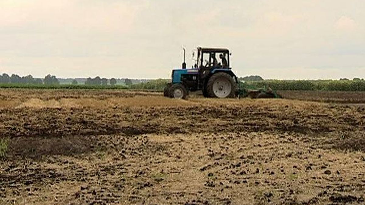 Украинские аграрии обеспечены минеральными удобрениями на 90%