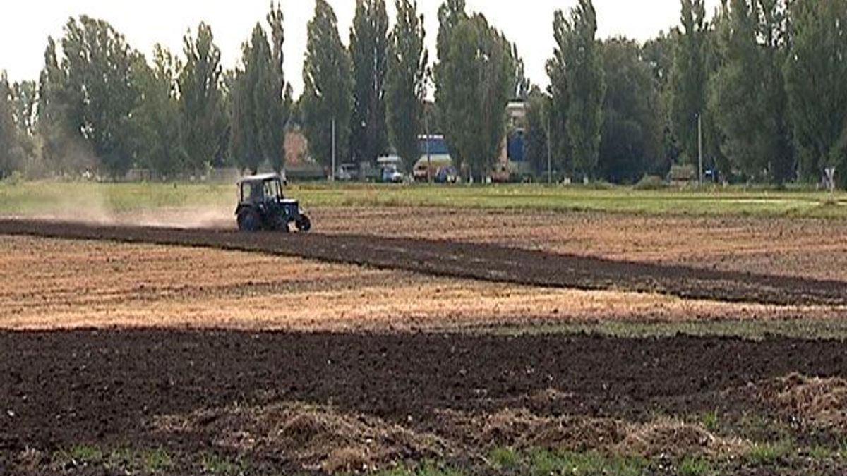 Уряд України вирішив не скасовувати пільги аграріям