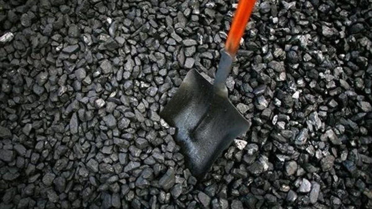 Україна продовжує отримувати вугілля з ПАР