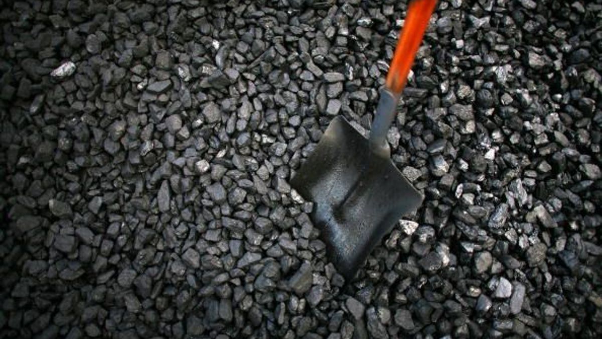 У Путіна запевнили, що поставки вугілля з РФ до України вже почалися