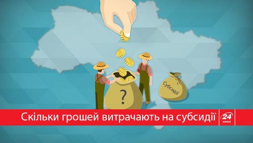 Скільки українців отримують субсидії: цікава статистика