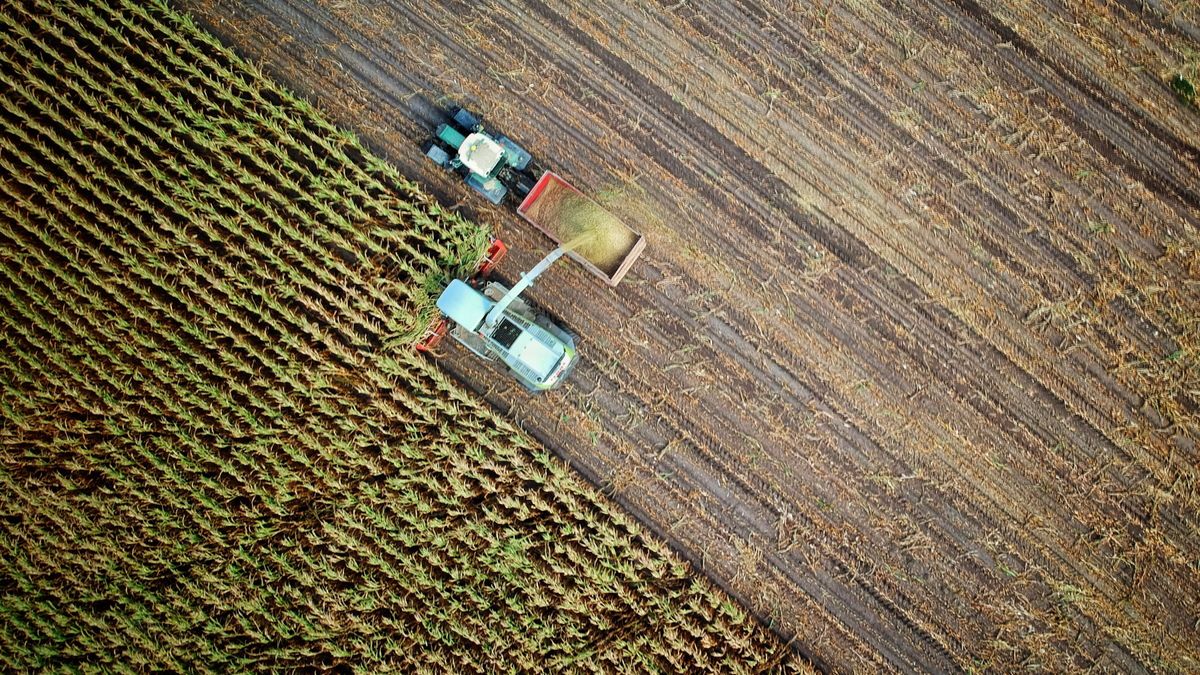 "Агроокупація": росіяни користуються майже 190 тисячами гектарів української землі - Економіка