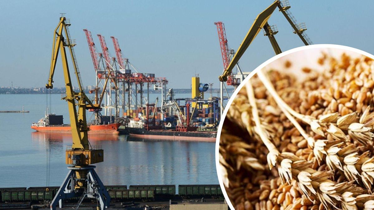 Відсутність нового урожаю з українських портів викличе продовольчу паніку у світі – Мінагро