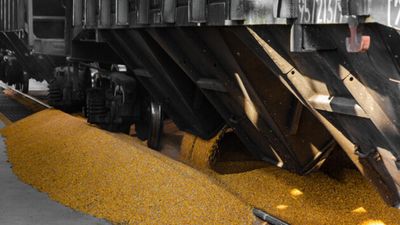Канада готова надати свої кораблі, щоб Україна відновила експорт зерна