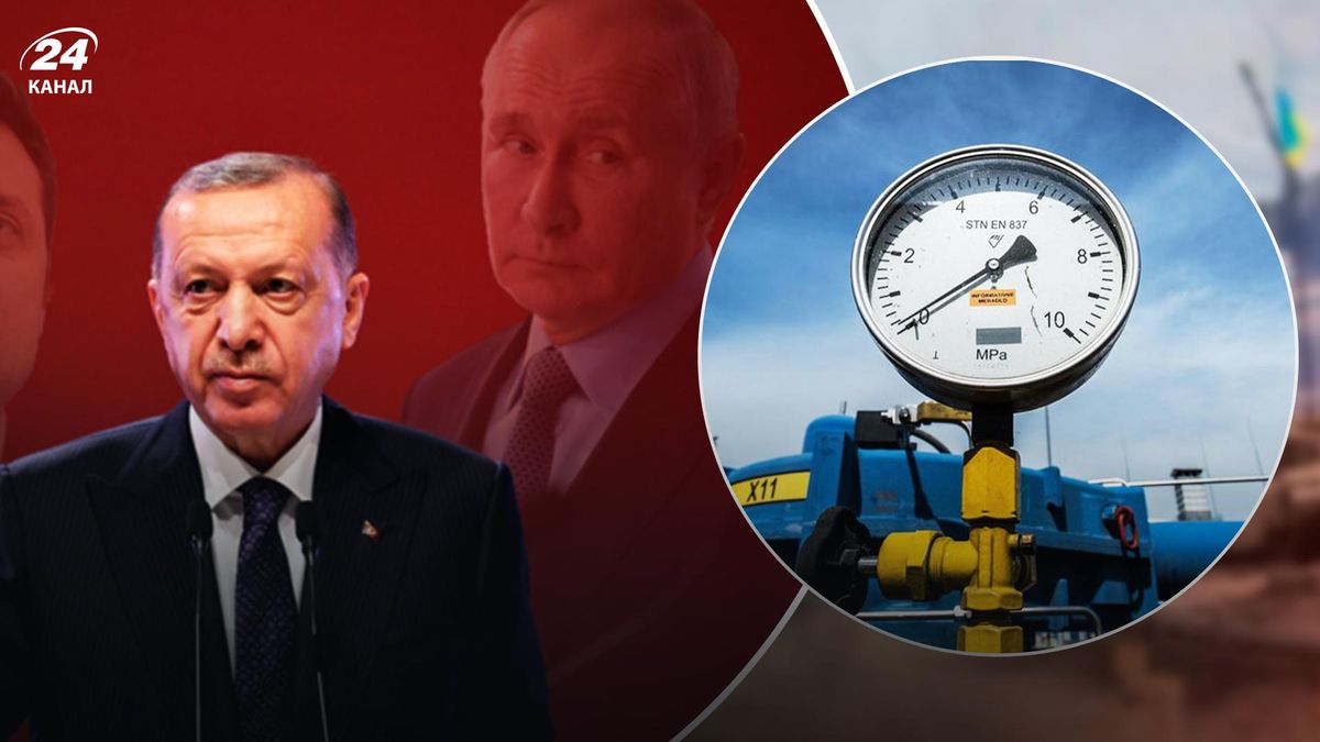 Эрдоган говорит, что Турция не может отказаться от поставок природного газа из России