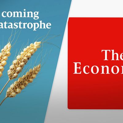 Колоски с черепами: The Economist посвятил обложку "продовольственной катастрофе"