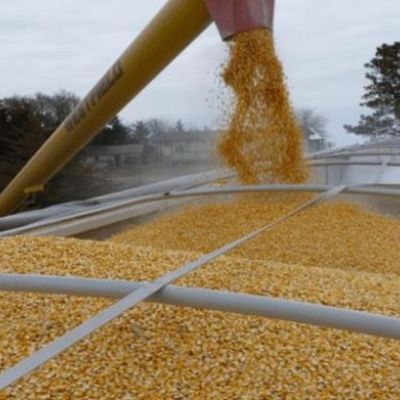 США можуть частково зняти санкції з Білорусі, якщо Мінськ дозволить експорт зерна з України