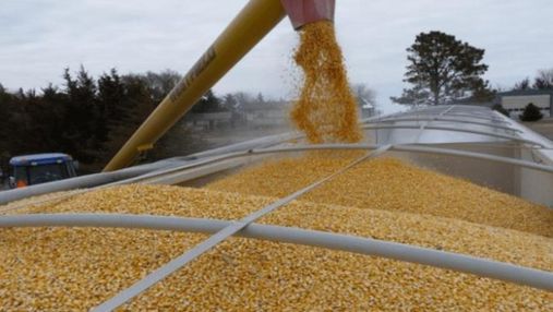 США могут частично снять санкции с Беларуси, если Минск разрешит экспорт зерна из Украины