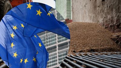 ЕС на год окончательно упразднил пошлины на весь украинский экспорт