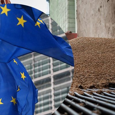 ЕС на год окончательно упразднил пошлины на весь украинский экспорт