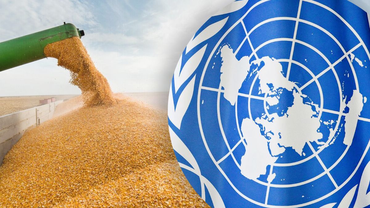 Запасов пшеницы на Земле осталось только на 10 недель, – эксперт выступила в ООН