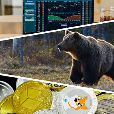 Медвежий рынок: что делать трейдерам, когда криптовалюта идет в пике
