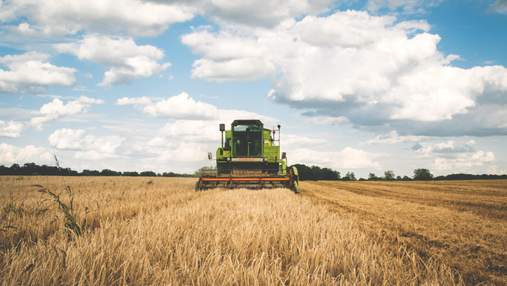 Рекордний врожай принесе Україні 0,8% ВВП, – Нацбанк